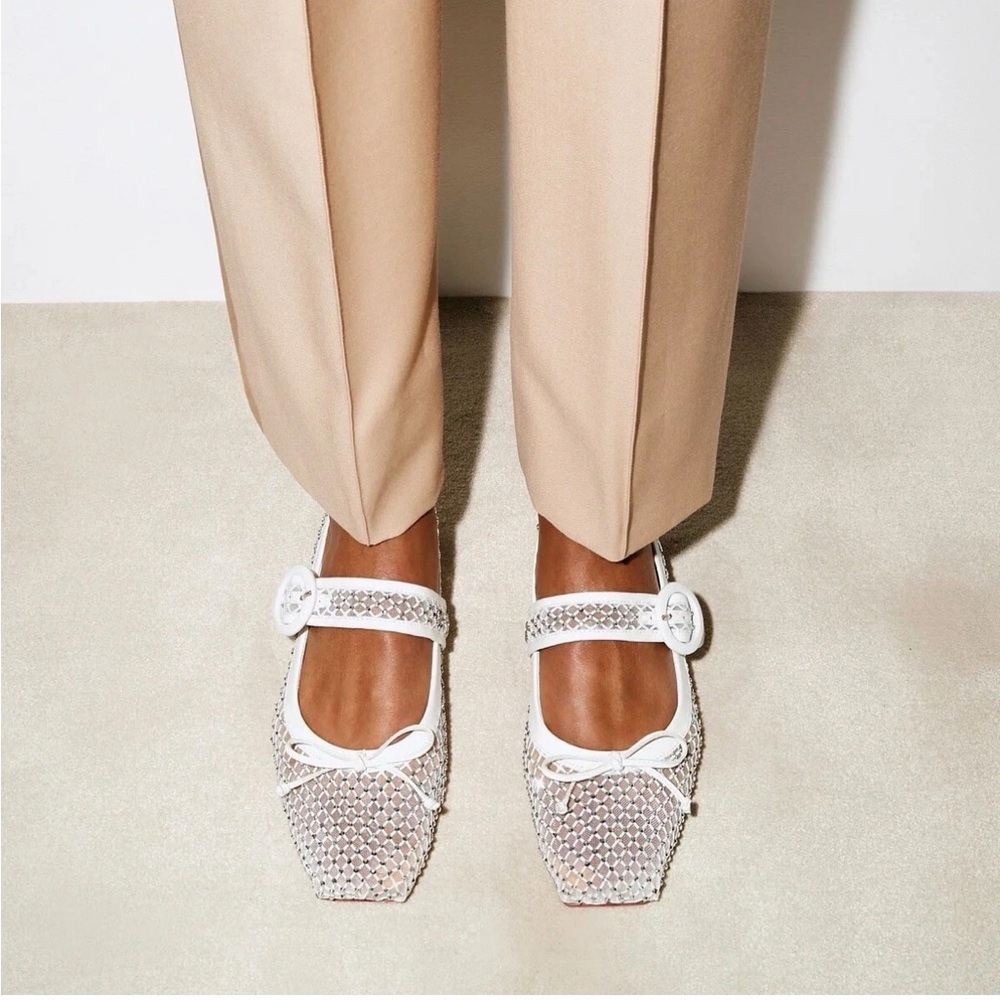 Christian Louboutin MAMASTRAPITINA Strass Crystal Mesh Ballerina Flat Shoes
9.5